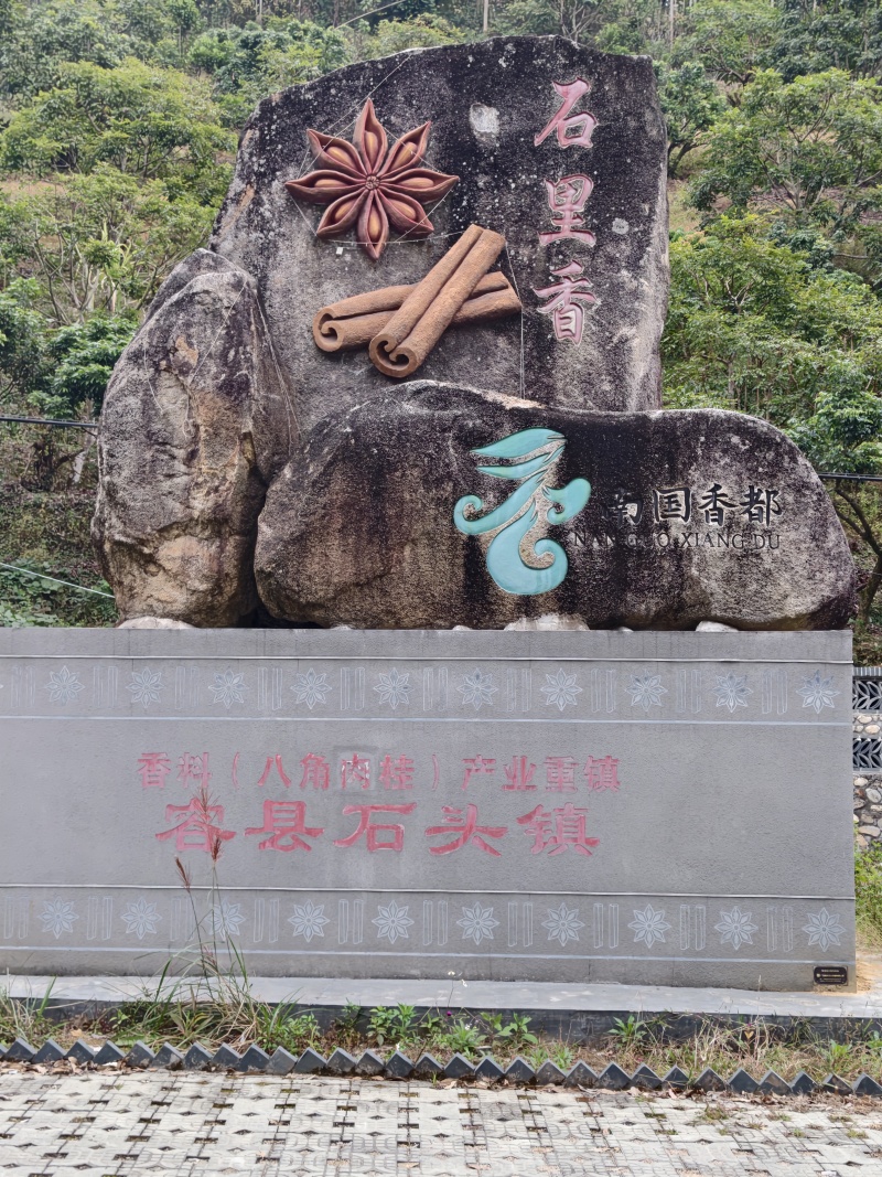 广西原产地老树桂皮干桂皮，产地直发，量大价优