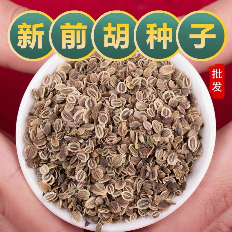 大叶前胡种子新产前胡籽发芽率高改良适应能力强简单好管理