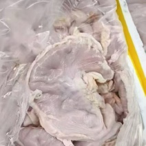 鲜猪肚，鲜猪肚，鲜猪肚