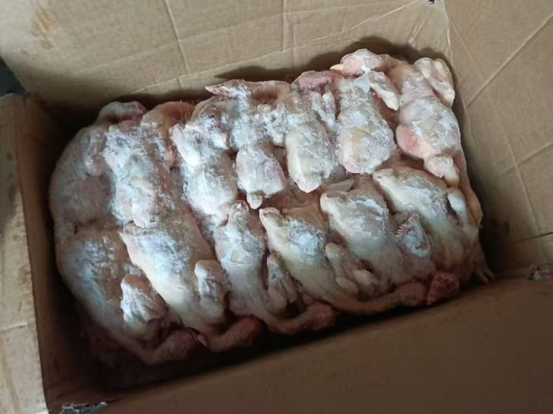 三黄鸡