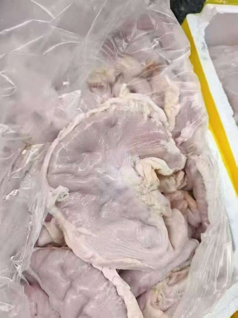 鲜猪肚，鲜猪肚，鲜猪肚