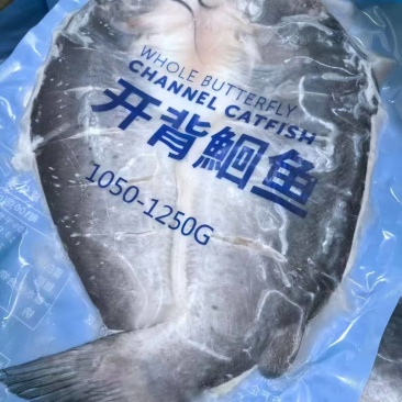 清江鱼
