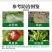 奥潍29%石硫合剂白粉病苹果树预防保护持效期长正牌正品批