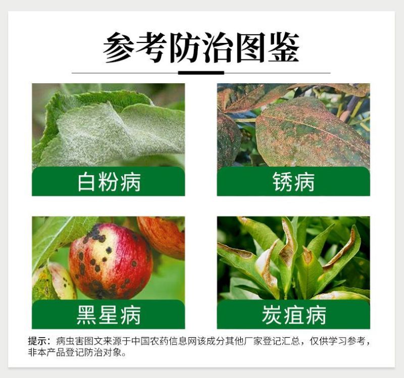 奥潍29%石硫合剂白粉病苹果树预防保护持效期长正牌正品批
