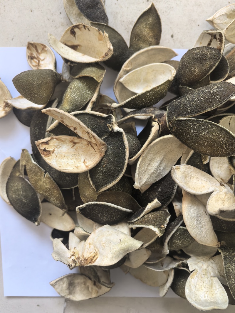 四花青皮中药材四花青皮新货东弘药业一手货源现货供应