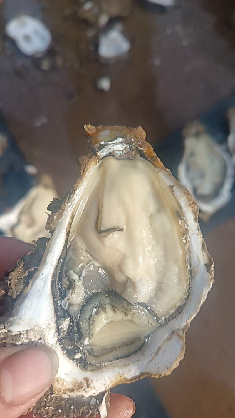 自产自销