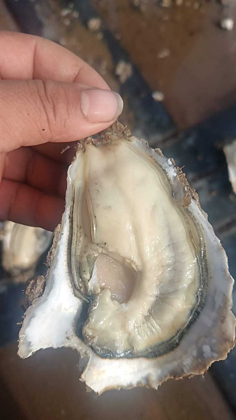 自产自销