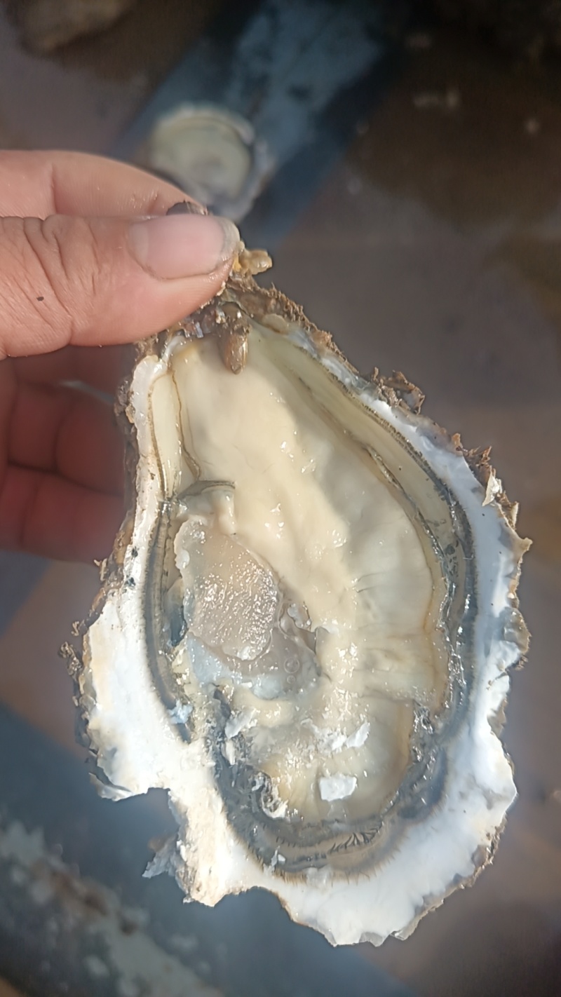 自产自销