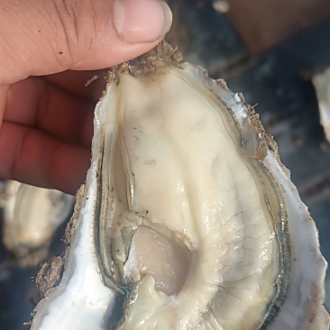 自产自销