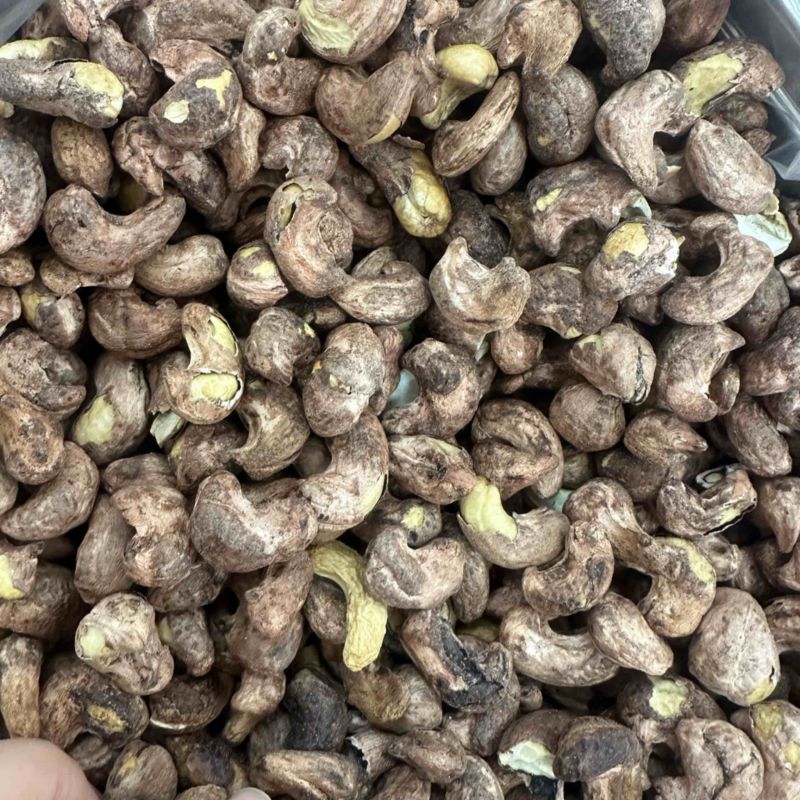 紫衣腰果大果180