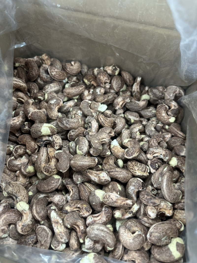 紫衣腰果大果180
