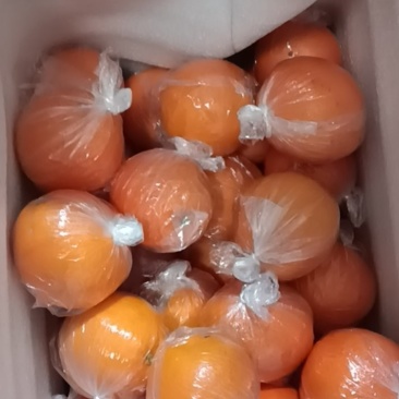 赣南脐橙