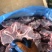 多肉拼柜牛脖骨，几块钱一斤