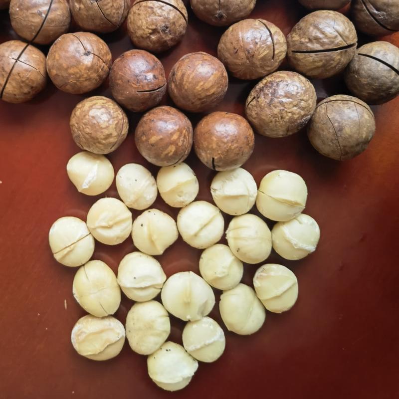 夏威夷果奶香味