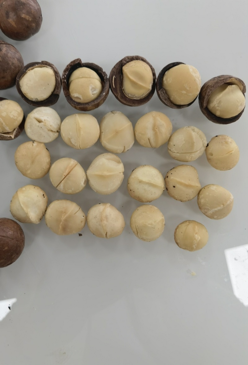 夏威夷果奶香味
