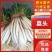 藠头/产区直发/带根发货/当天采当天发车