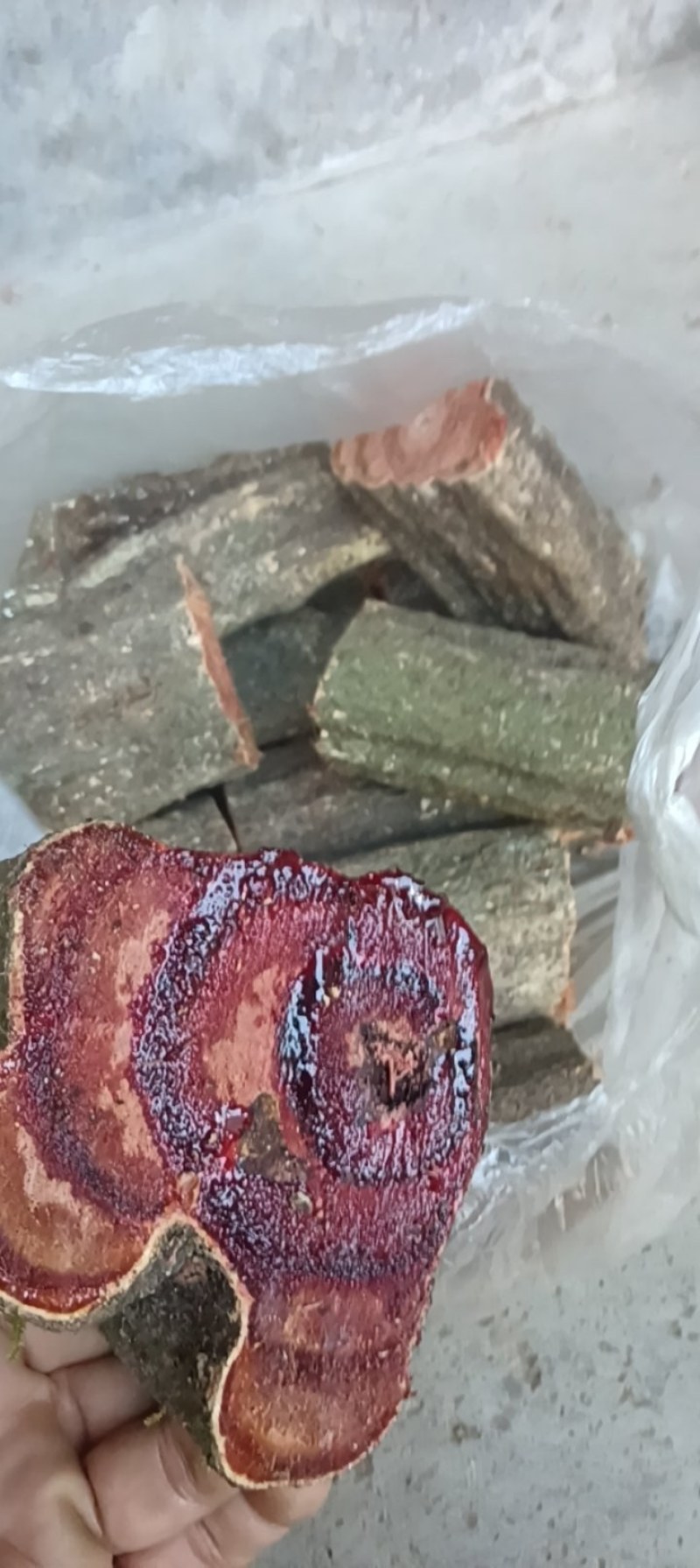 野生鸡血藤