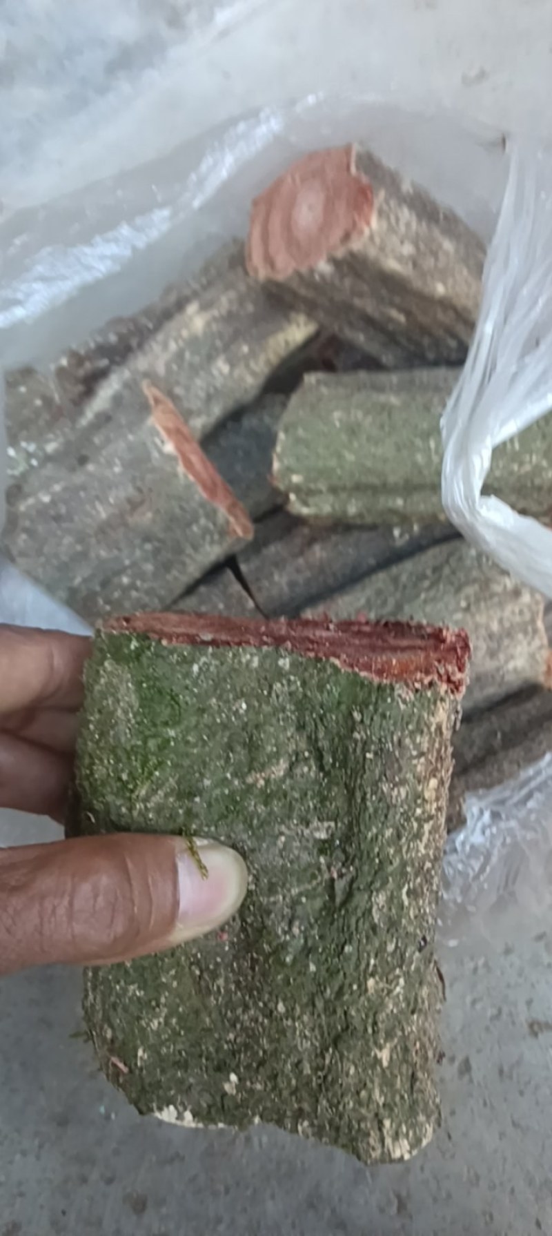 野生鸡血藤