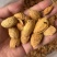 坚果干果巴旦木np成品价格优美年底跑量大量现货