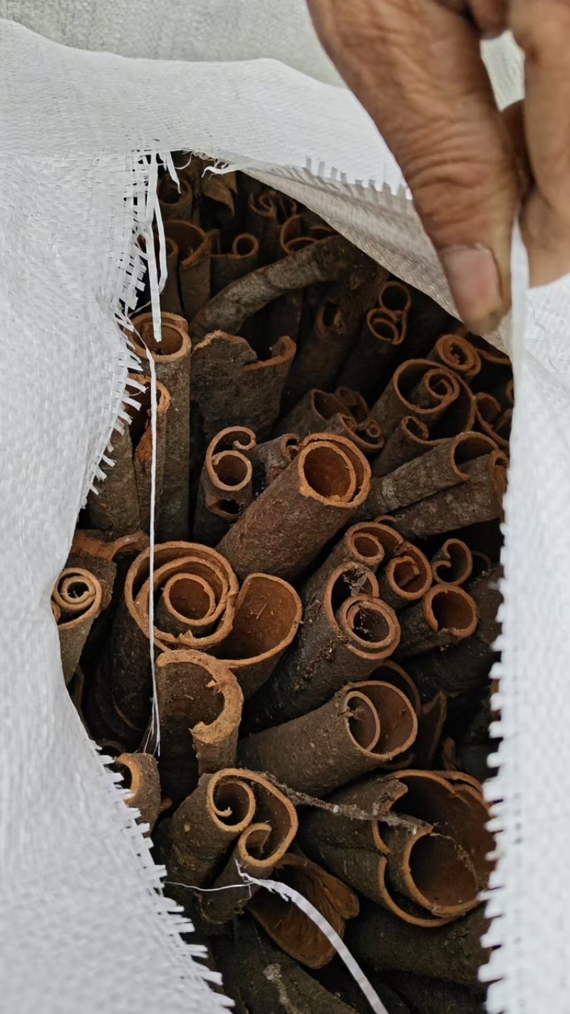 桂皮广西原产地老树桂皮干桂皮，产地直发，量大价优