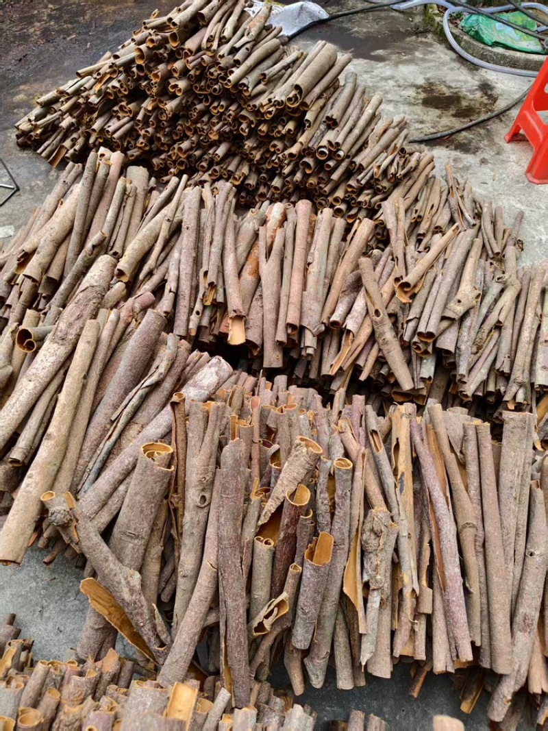 桂皮广西原产地老树桂皮干桂皮，产地直发，量大价优