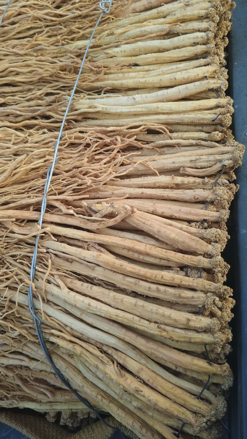 甘肃岷县黄芪党参当归