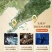 辽宁大连海参，鲜食海参，深海海参，品质有保障
