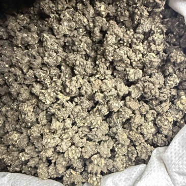 猫爪草水洗三遍大货供应零售批发保真保量