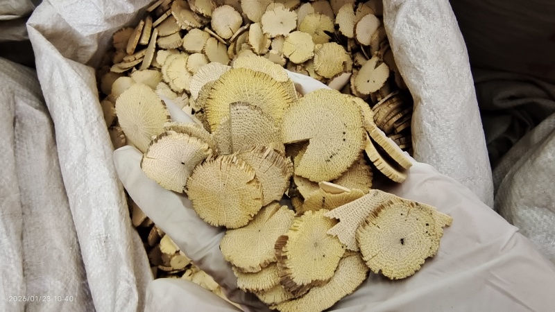 木通选货大片各种规格2斤包邮量大从优