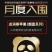 董专家优质红富士生态不套袋果园直发20万斤现货