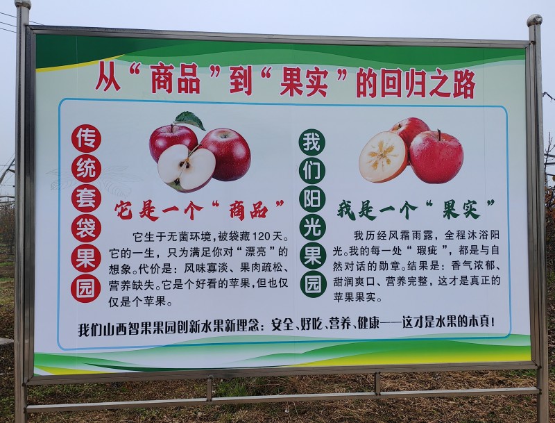 董专家优质红富士生态不套袋果园直发20万斤现货