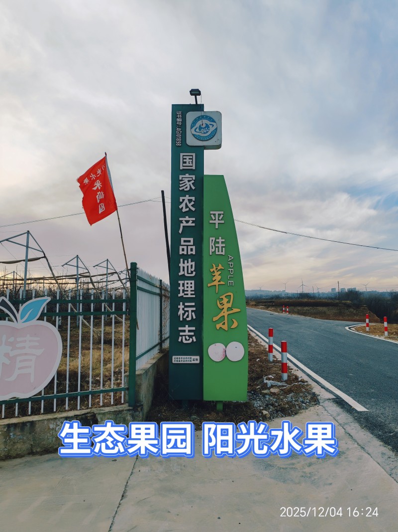 董专家优质红富士生态不套袋果园直发20万斤现货