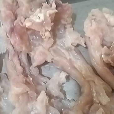 全皮牛蹄筋
