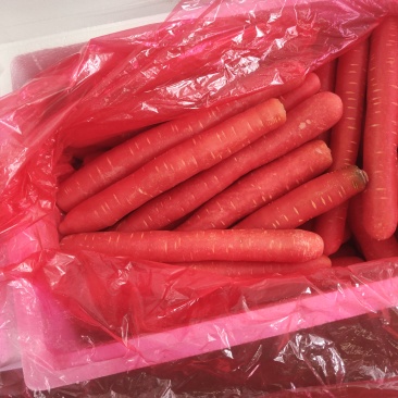精品市场货，精品电商胡萝卜