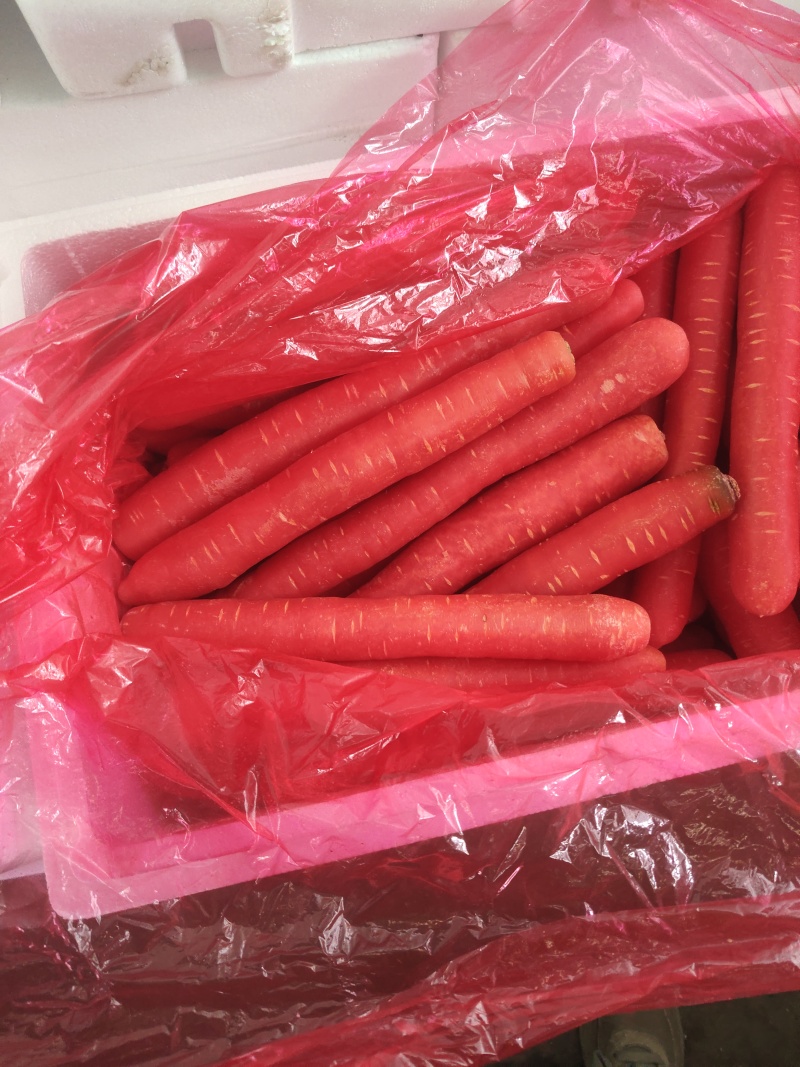 精品市场货，精品电商胡萝卜