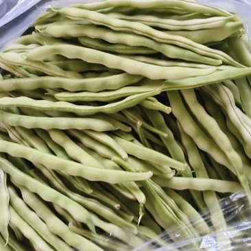 精品芸豆