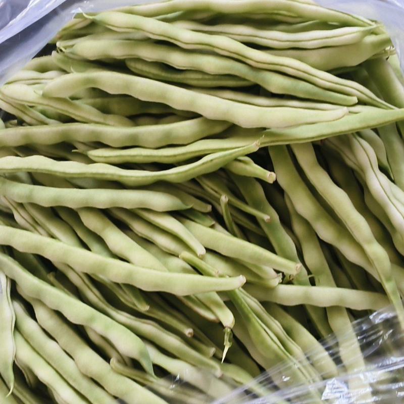 精品芸豆