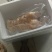 新鲜精品牛蹄批发零售