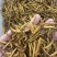 冬虫夏草各种规格选货10克起包邮经济实惠