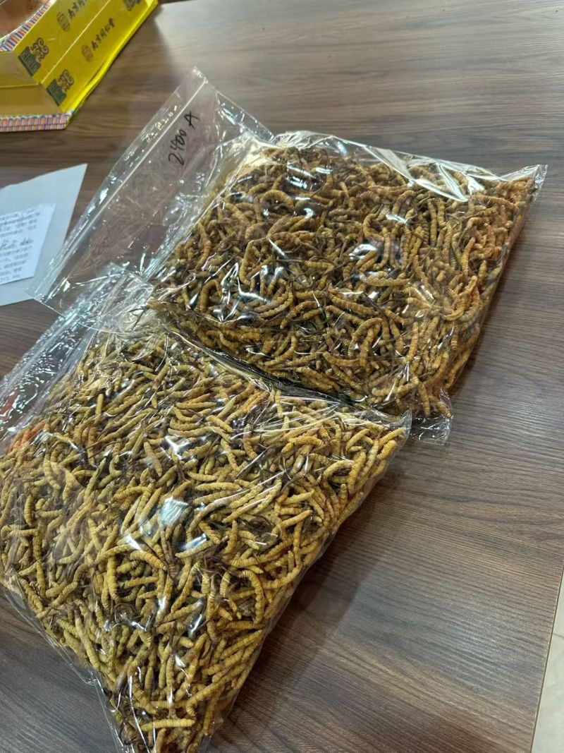 冬虫夏草各种规格选货10克起包邮经济实惠