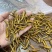 冬虫夏草各种规格选货10克起包邮经济实惠