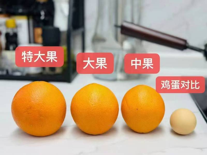 【精品】纽荷尔脐橙果农直销现采现发纯甜不酸对接全国