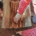 铁棍山药豆苗