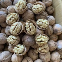 薄皮核桃