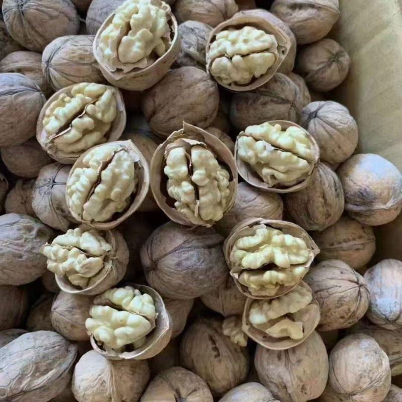 薄皮核桃