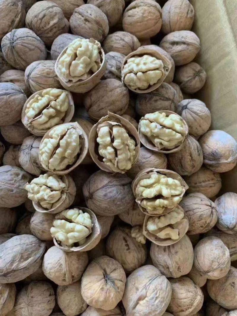 薄皮核桃