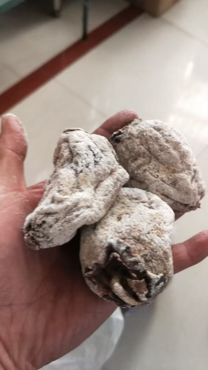 薄皮核桃