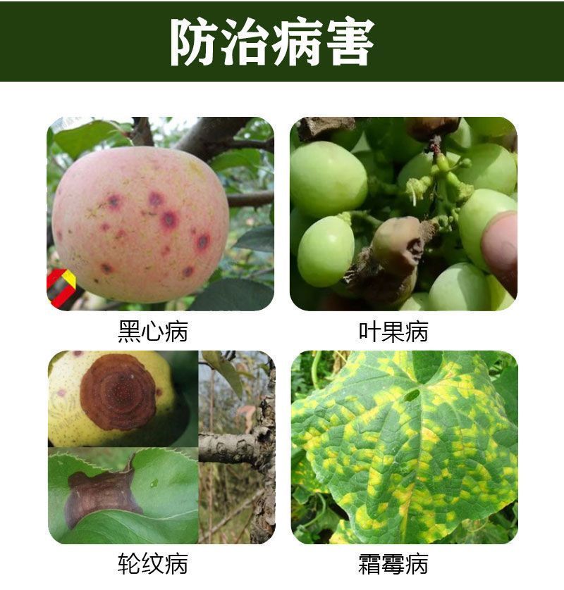 绿得保30%碱式硫酸铜悬浮剂杀菌剂细菌性条斑病溃疡病根腐