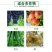 绿得保30%碱式硫酸铜悬浮剂杀菌剂细菌性条斑病溃疡病根腐
