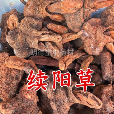 包邮续阳草回春草男性滋补泡酒料保质保量诚信经营